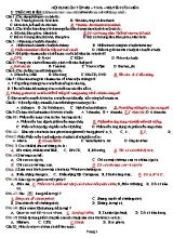 Đề cương ôn tập học kì I môn Tin học 6 - Nguyễn Văn Mến